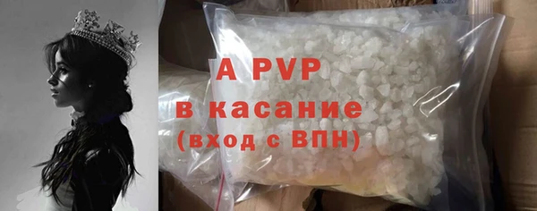 спайс Михайлов
