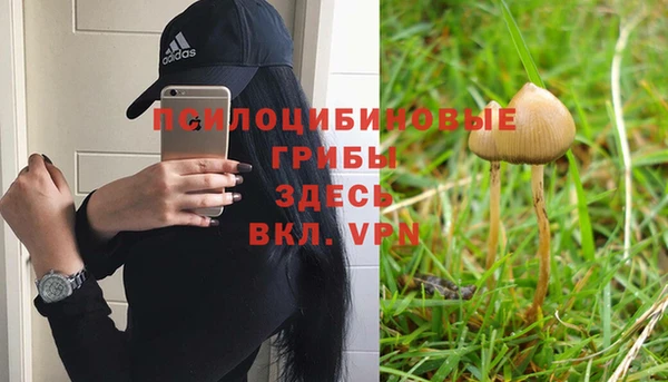мескалин Абинск
